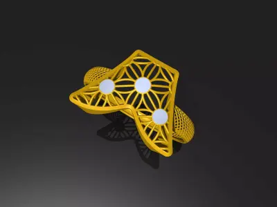 P-3 LIGHT WEIGHT Turkish--Check Description 3D print model