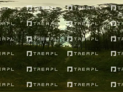 A13- HDRI SKIES TREAPL ATMOSPHERE - 360 SKIES Texture