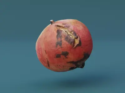 Pomegranate Scan  Free low-poly 3D model