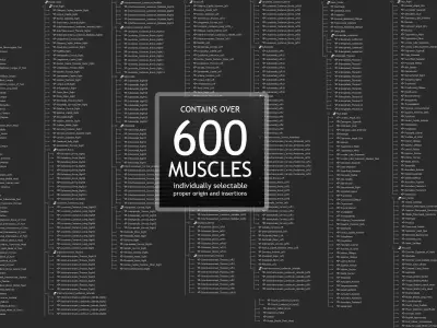 Ultimate Complete Male Anatomy 3D model