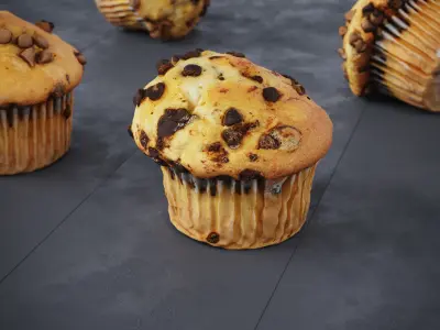 Chocolate Chip Muffins 4 Models