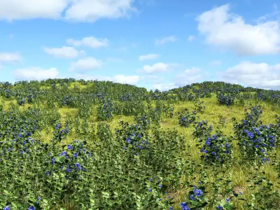  meadow spring  3D model
