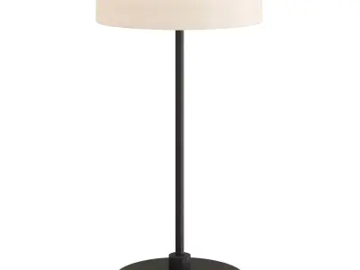 Black table lamp 3D model