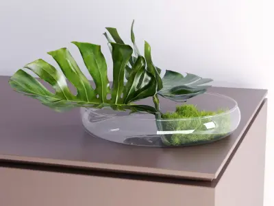 Philodendron Dianthus Vessel 3D model