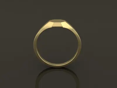 Dainty Thin Signet Octagon Round Mix Size 3D print model