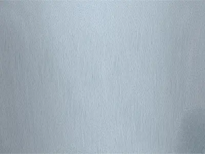  Anatomy of a Vagina for Study 