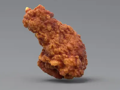  Realistic Chicken Fry Collection 