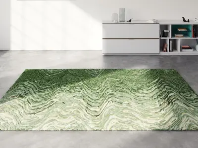 Blur Rug 3D model