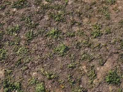 Spring soil 3D model