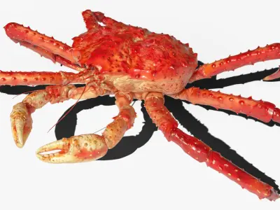  Paralithodes Crab Walking Animated Rigged For Blender 