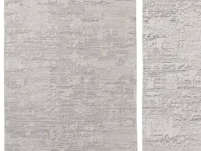 DASANI HANDWOVEN RUG 3D model