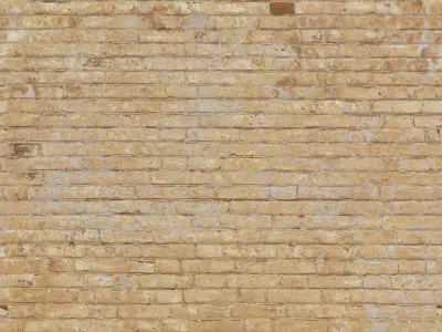 brick 464 Texture