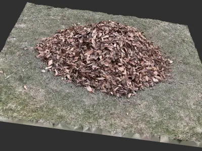 Leaves on the ground 3d scan 3D model