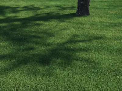 3 click grass for archviz 3D model