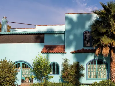 2021 PBR Katsura Tree Collection - Cercidiphyllum Japonicum 3D model