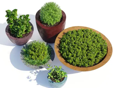 Dune series 3D model