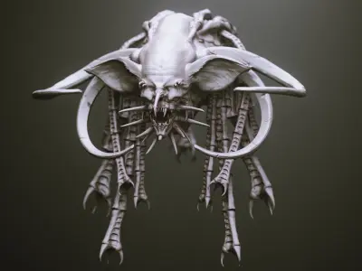 EARS - 40 ZBRUSH VDMs 3D model