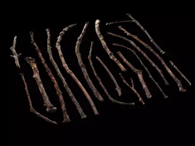 Sticks debris 02 Texture