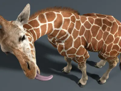  Giraffe Fur Rigged 