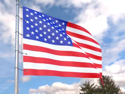 Flag USA animated loop 3D model