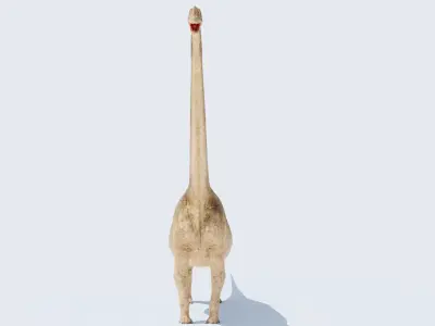  Brachiosaurus-Altitorax 