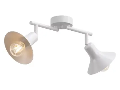 Vitaluce8 ceiling light with two lights 3D model