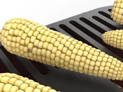  Portable Grills with Food Collection 