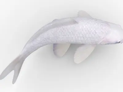  Koi Fish 4 Animated 