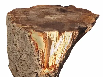 trunk 101 3D model