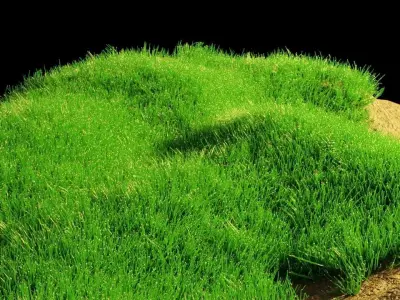 Blender Realistic Grass With Particle System Low-poly 3D model