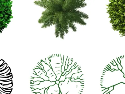  Landscape Tree Plan View 121 Symbol  Texture