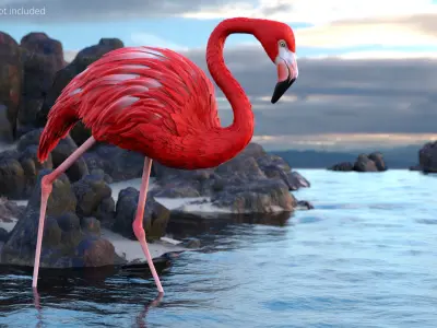  Red Flamingo Tropical Walking Pose 