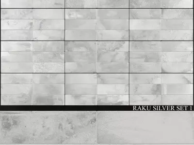 Peronda FS Raku Silver Set 1 3D model