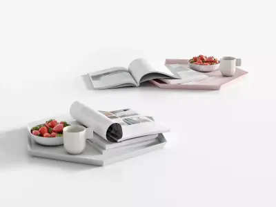 Kaleido Tray Accessories 3D model