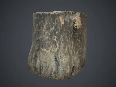 Wood Stump 1 PBR Game Ready Low-poly 3D model