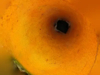 Mandarina 3D modelo Real grande Low-poly 3D model