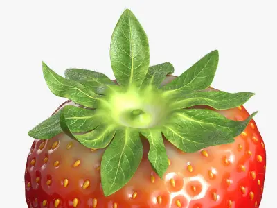  Strawberry 
