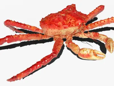  Red King Crab Idle Animated Rigged For Blender 