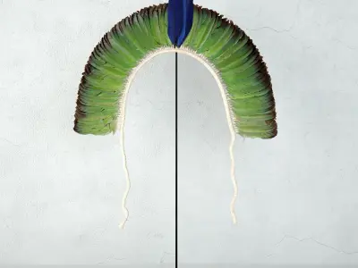 Brazilian Tribal Feather Headdress Collection 3D Model Pack