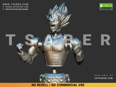 Vegeta Bust - Anime Dragon Ball Z collectibles 3D print model
