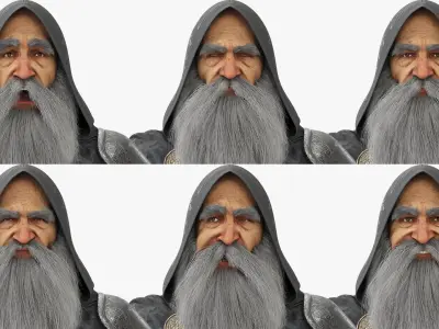  Hooded Wizard with Crystal Staff Standing Rigged 