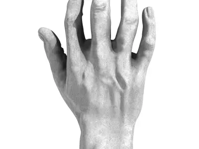 Male Hand 3D print model