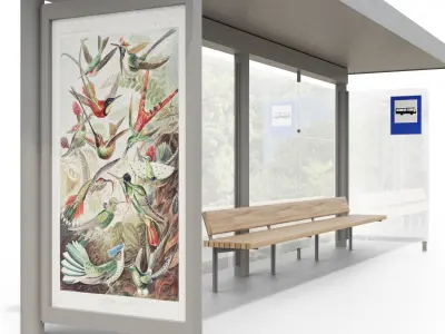 Public transport shelters 3D model