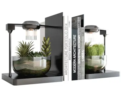 PLANTS IN DIGITAL VASE NO6 A 3D model