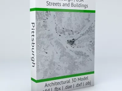 Pittsburgh Streets and Buildings 3D model