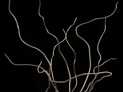 Serip Wind 6036 3D model