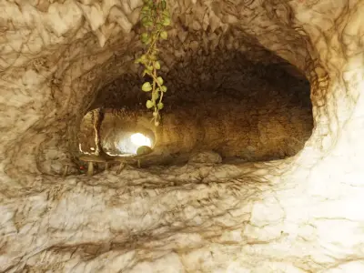 Cave V13 - Complex Cave Environment with Vegetation and Rocks 3D model