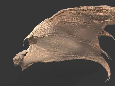 Arch Angel And Arch Dragon wings  3D print model