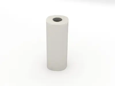 Paper Towel Roll 3D model