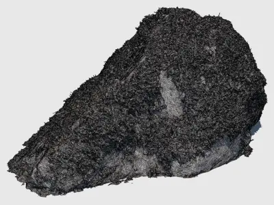 Kate Moss Rock 3D model